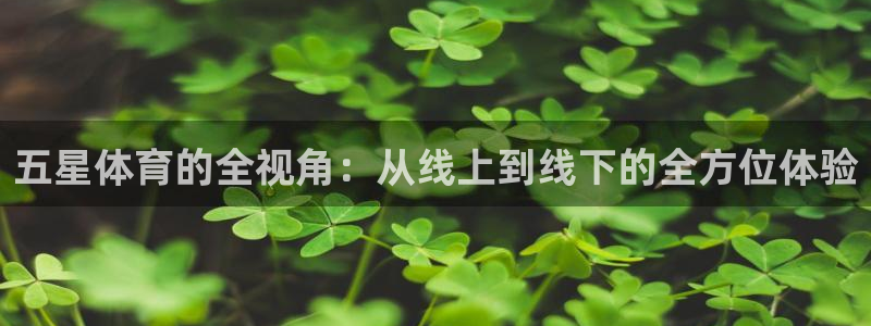 jrs黑白直播体育：五星体育的全视角：从线上到线下的全方位体验