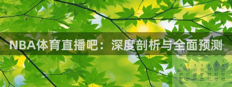 黑白体育在线直播官网：NBA体育直播吧：深度剖析与全面预测