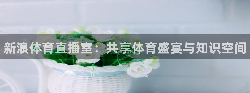 黑白直播体育nba直播下载手机版：新浪体育直播室：共享体育盛宴与知识空间