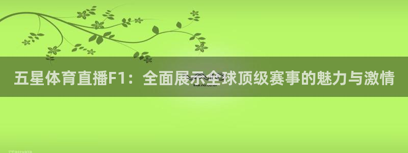 黑白篮球直播官网：五星体育直播F1：全面展示全球顶级赛事的魅力与激情