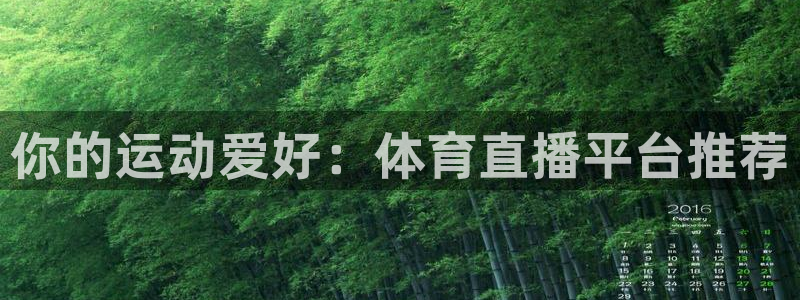 黑白体育直播间：你的运动爱好：体育直播平台推荐