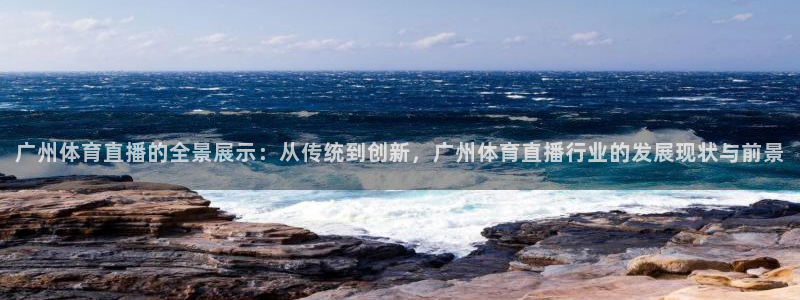 黑白体育直播nba在线观看：广州体育直播的全景展示：从传统到创新，广州体育直播行业的发展现状与前景