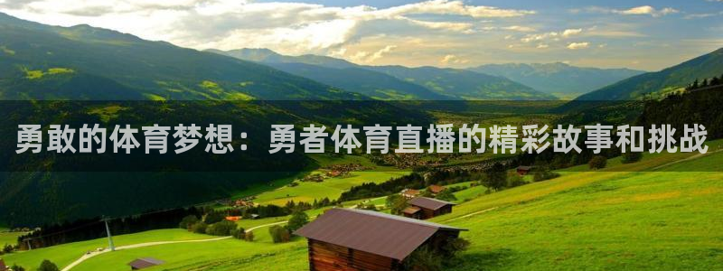 黑白直播nba直播免费：勇敢的体育梦想：勇者体育直播的精彩故事和挑战