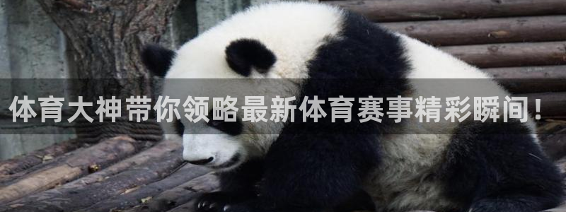 黑白体育比赛直播：体育大神带你领略最新体育赛事精彩瞬间！