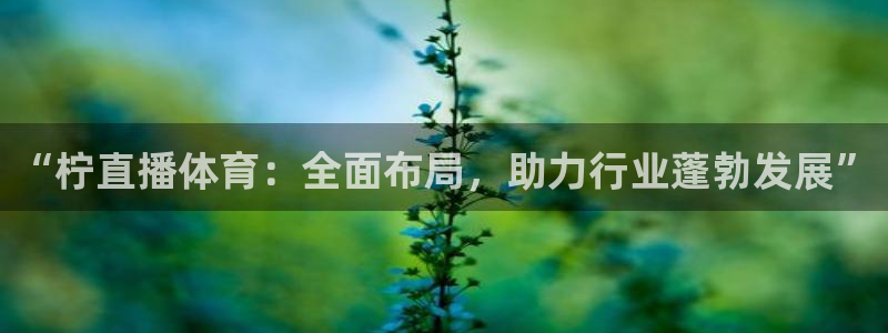 黑白直播 足球：“柠直播体育：全面布局，助力行业蓬勃发展”