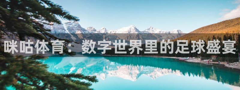 篮球直播黑白：咪咕体育：数字世界里的足球盛宴
