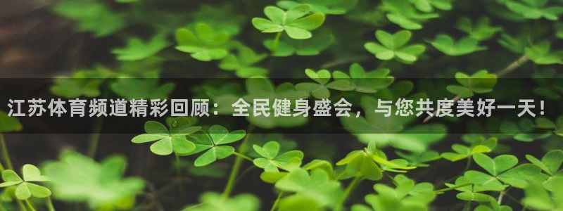 黑白直播下载：江苏体育频道精彩回顾：全民健身盛会，与您共度美好一天！